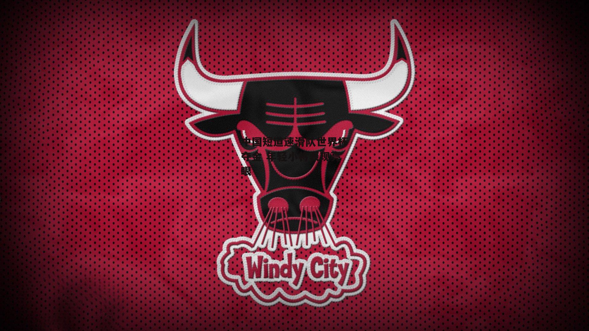 中国短道速滑队世界杯夺金 年轻小将表现亮眼