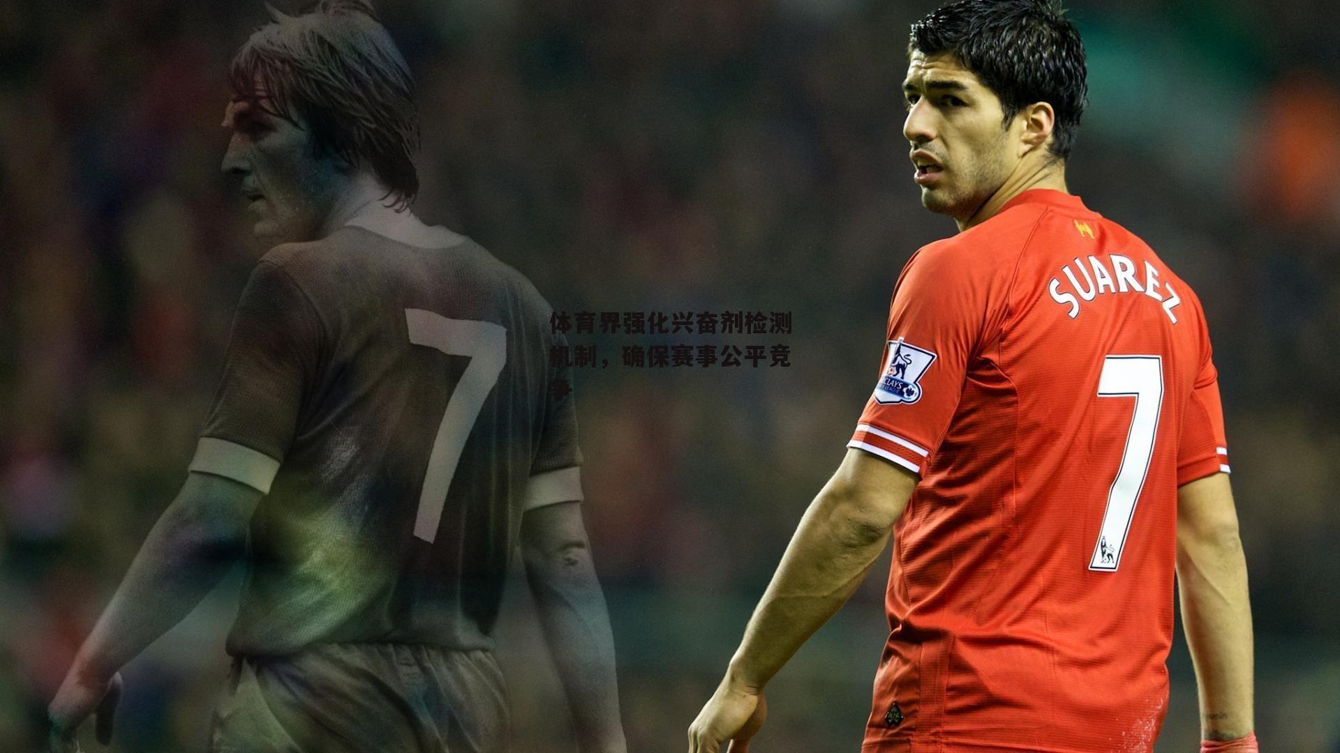 体育界强化兴奋剂检测机制,确保赛事公平竞争